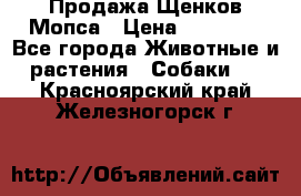 Продажа Щенков Мопса › Цена ­ 18 000 - Все города Животные и растения » Собаки   . Красноярский край,Железногорск г.